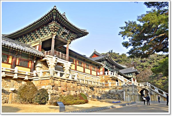 õ���� ���