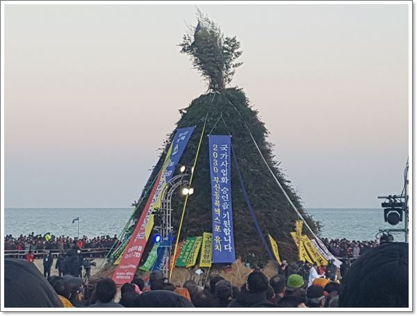 �뺸�� ����